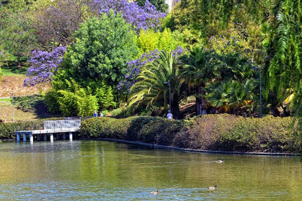 Parque de la Paloma